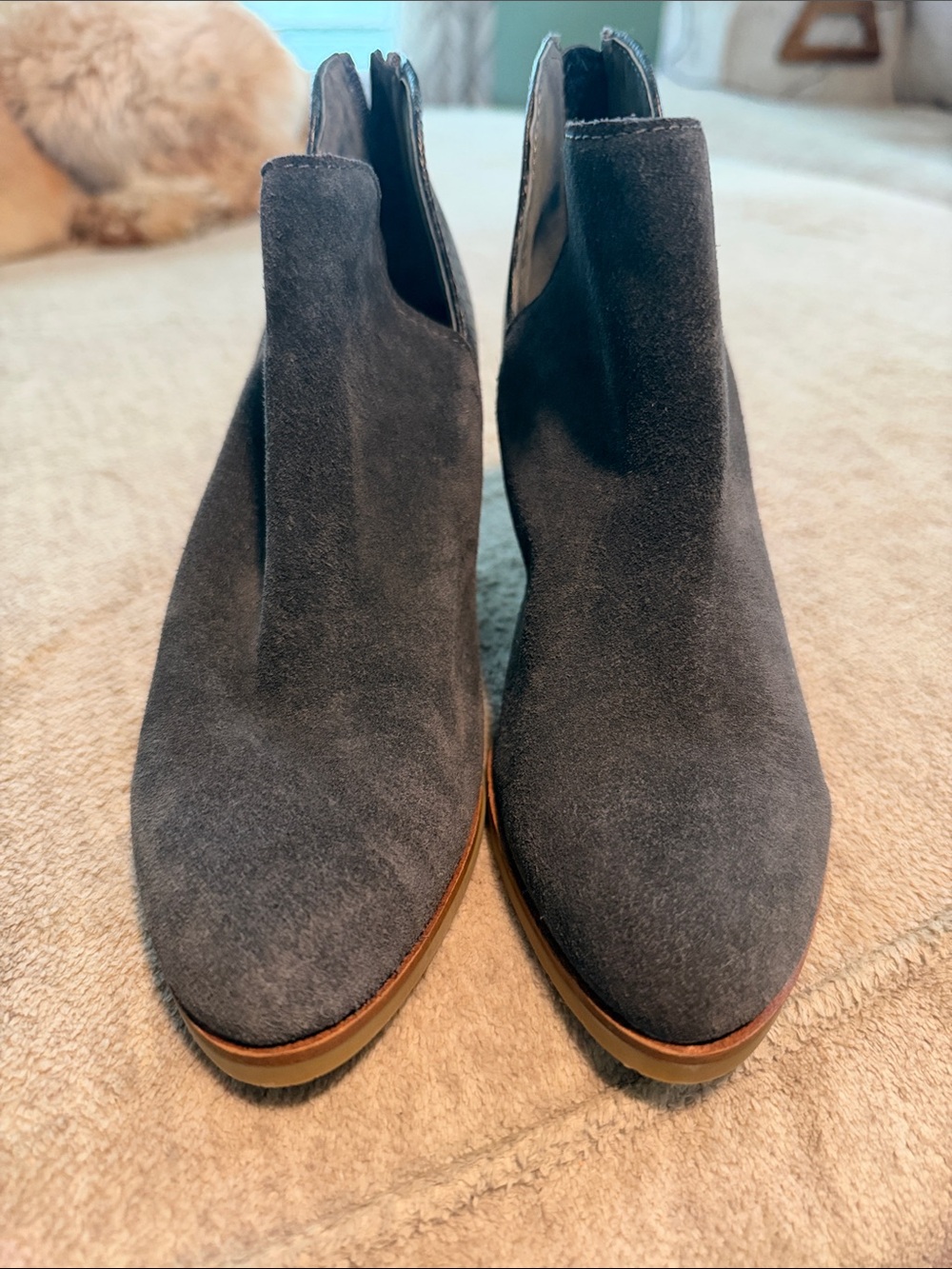 Dolce Vita Charcoal Suede Chelsea Ankle Booties
